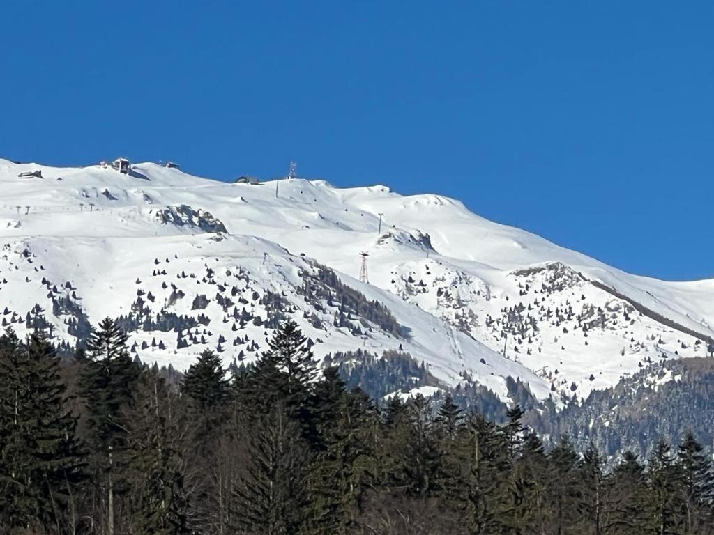 Coca Apart Mountain View Sinaia Eksteriør bilde