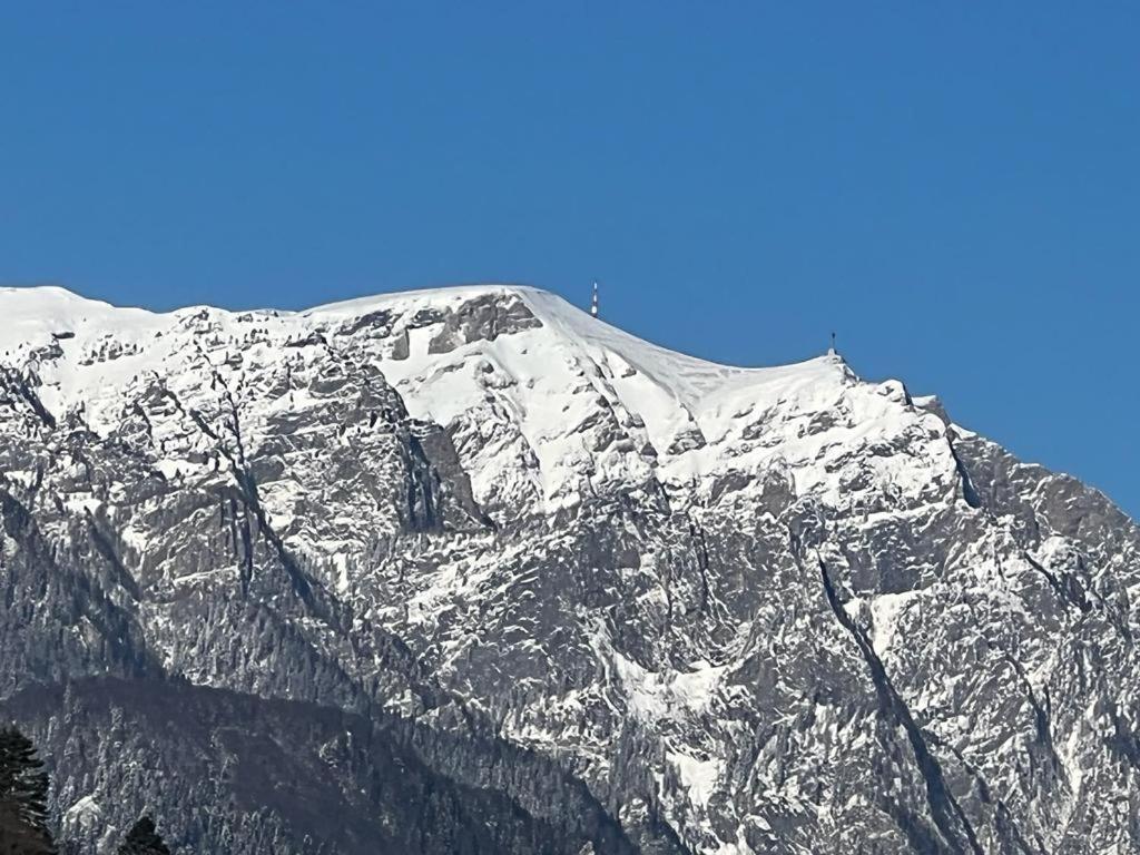 Coca Apart Mountain View Sinaia Eksteriør bilde