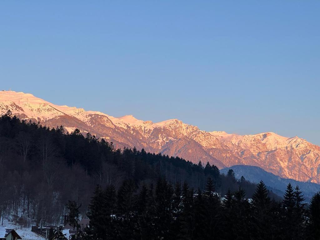 Coca Apart Mountain View Sinaia Eksteriør bilde