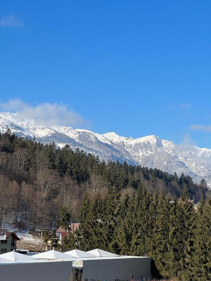 Coca Apart Mountain View Sinaia Eksteriør bilde