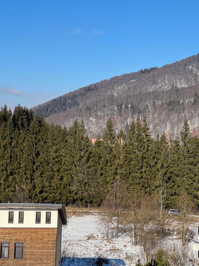 Coca Apart Mountain View Sinaia Eksteriør bilde