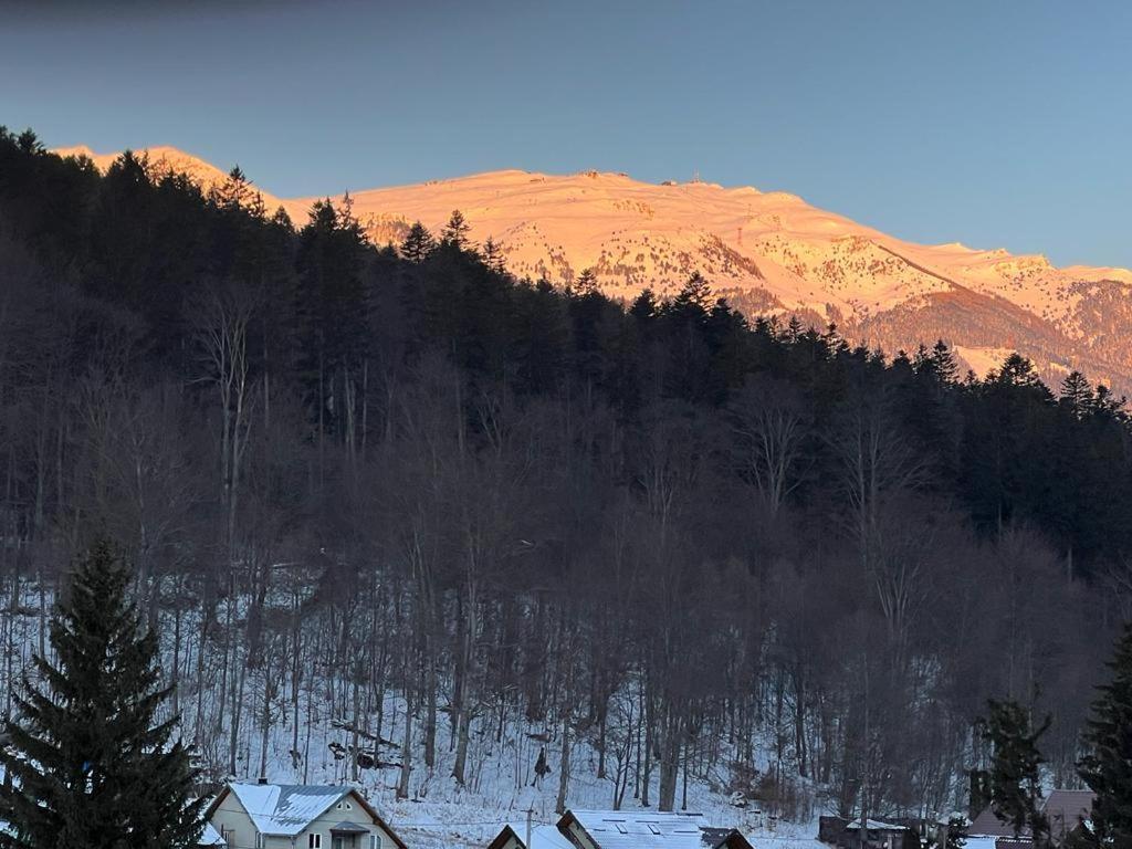 Coca Apart Mountain View Sinaia Eksteriør bilde