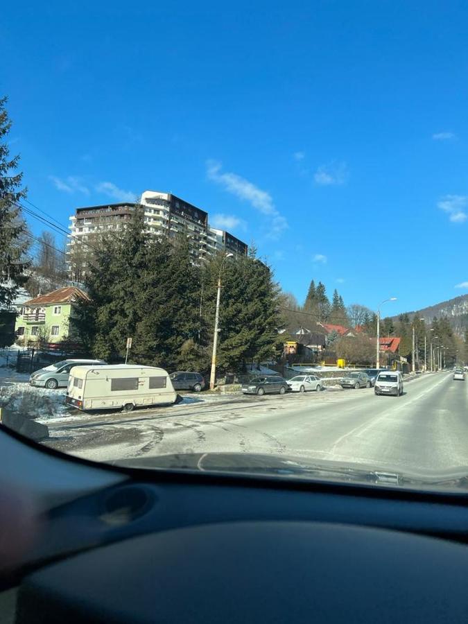 Coca Apart Mountain View Sinaia Eksteriør bilde