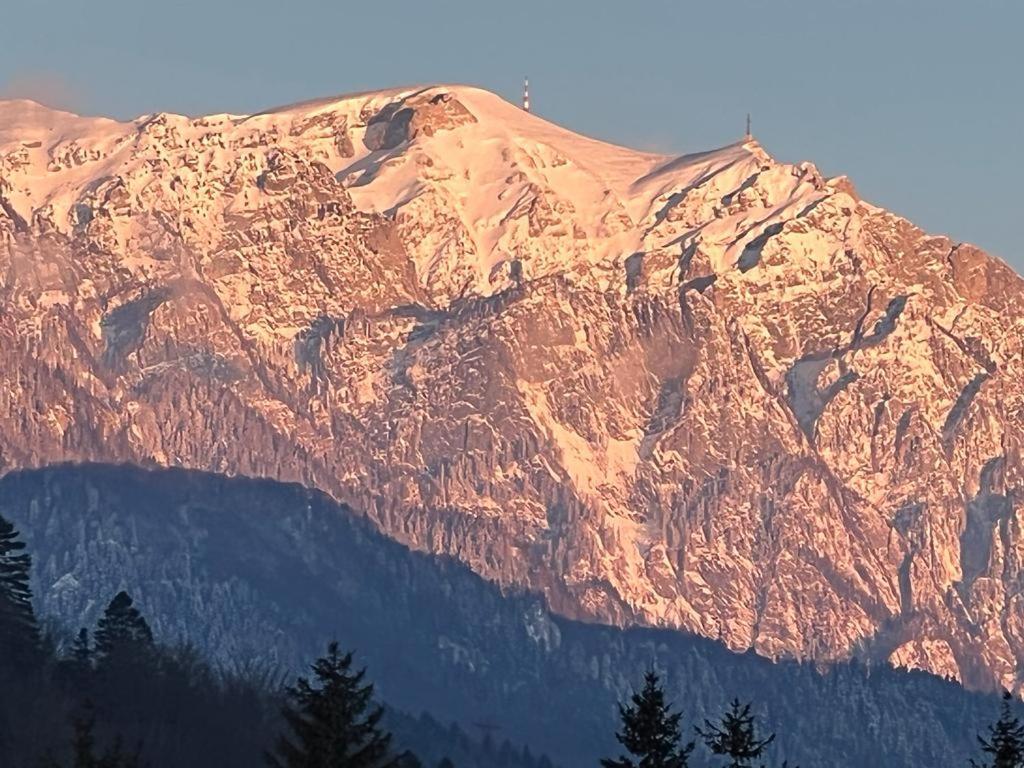 Coca Apart Mountain View Sinaia Eksteriør bilde