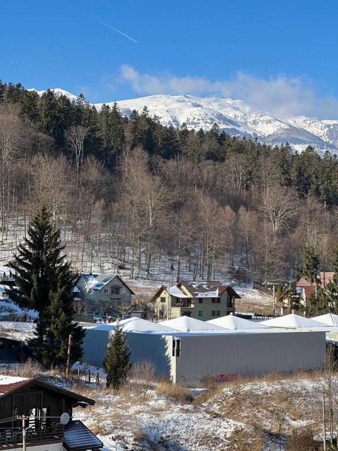 Coca Apart Mountain View Sinaia Eksteriør bilde
