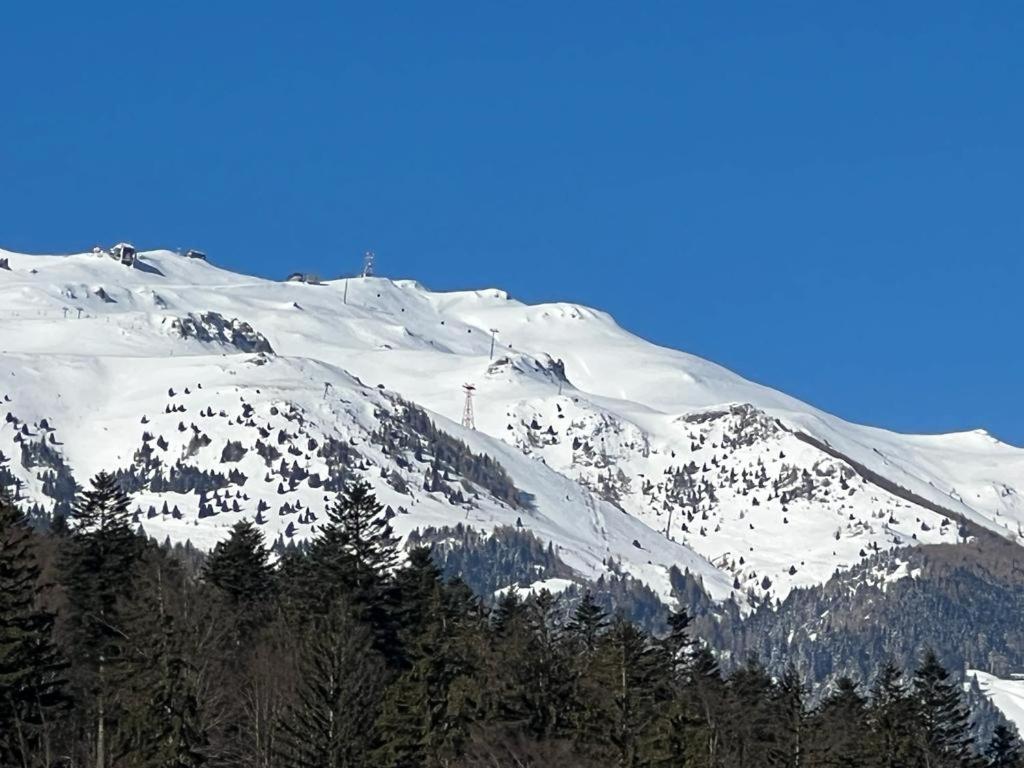 Coca Apart Mountain View Sinaia Eksteriør bilde