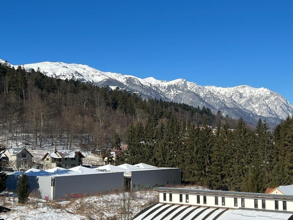 Coca Apart Mountain View Sinaia Eksteriør bilde